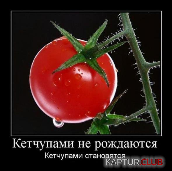 6f462d286353cceab5fdb6833b5_prev.jpg | Рено Каптур Клуб Россия | Форум KAPTUR.SU