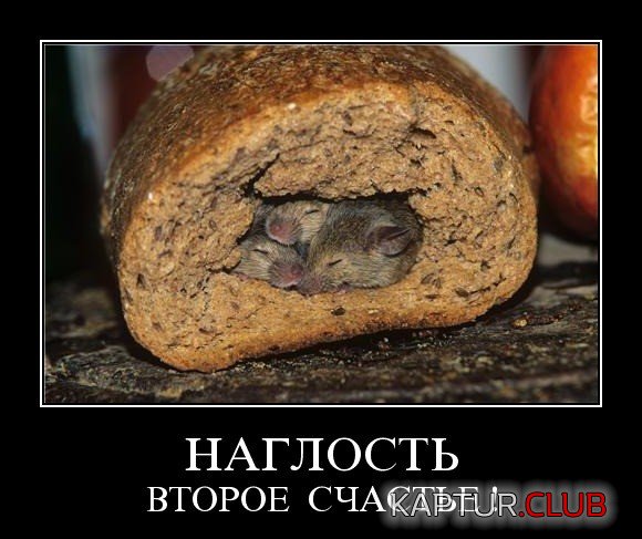 6fc85e9ed57e7ef6d1fc7e8ed95.jpg | Рено Каптур Клуб Россия | Форум KAPTUR.SU