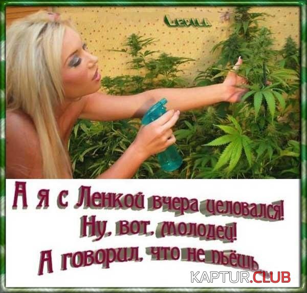 6fcb4c3b8d8b03ee243acc0465fc1137_full.jpg | Рено Каптур Клуб Россия | Форум KAPTUR.SU