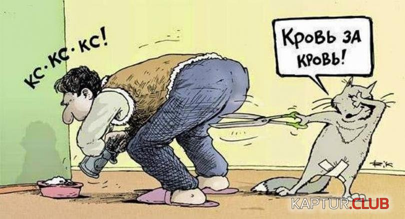 6ff9cba6a81fd12cbeb699041da_prev.jpg | Рено Каптур Клуб Россия | Форум KAPTUR.SU