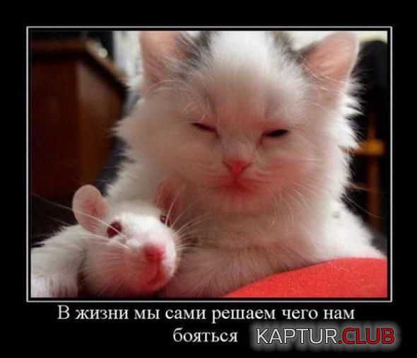7.png | Рено Каптур Клуб Россия | Форум KAPTUR.SU