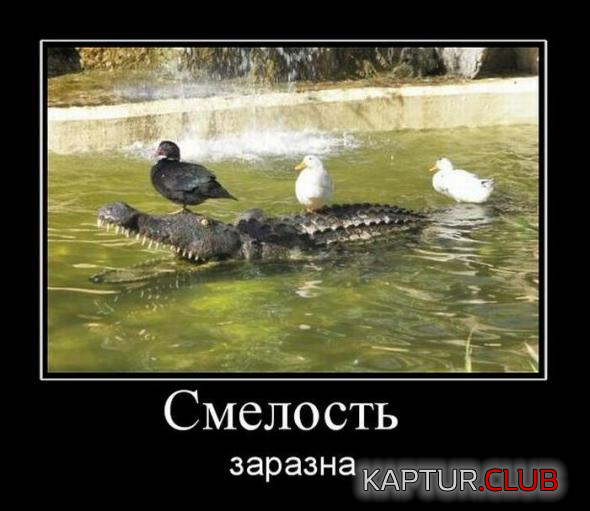 7.png | Рено Каптур Клуб Россия | Форум KAPTUR.SU