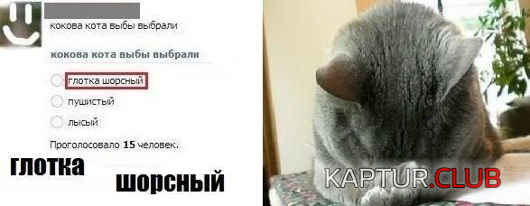 7.png | Рено Каптур Клуб Россия | Форум KAPTUR.SU