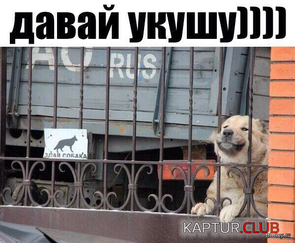 7.png | Рено Каптур Клуб Россия | Форум KAPTUR.SU