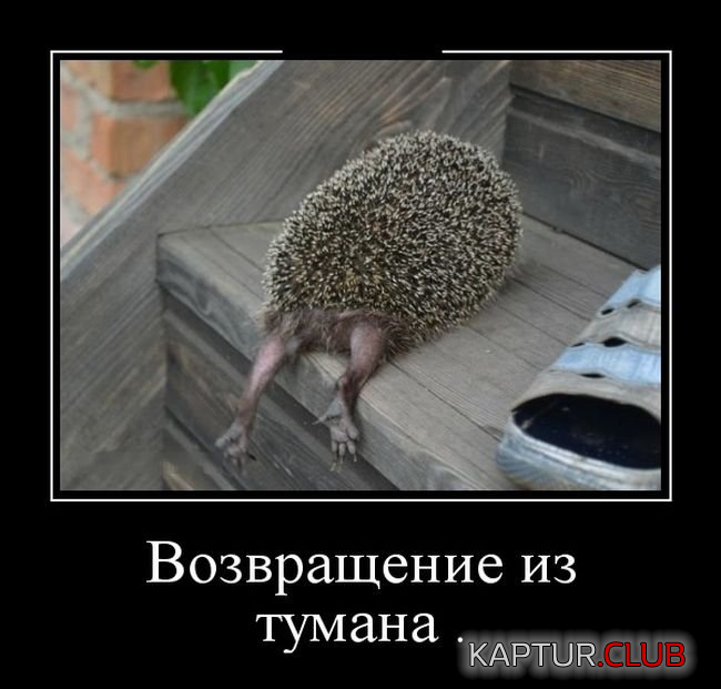 7.png | Рено Каптур Клуб Россия | Форум KAPTUR.SU