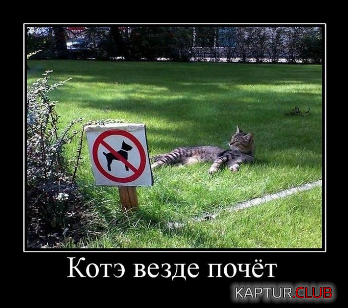 7.png | Рено Каптур Клуб Россия | Форум KAPTUR.SU