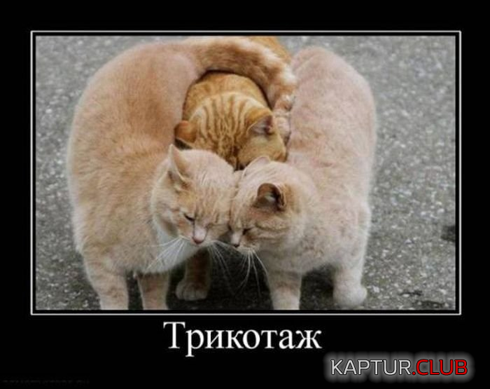 7.png | Рено Каптур Клуб Россия | Форум KAPTUR.SU