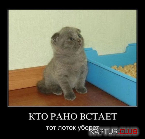 7.png | Рено Каптур Клуб Россия | Форум KAPTUR.SU