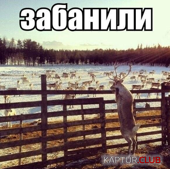 7.png | Рено Каптур Клуб Россия | Форум KAPTUR.SU