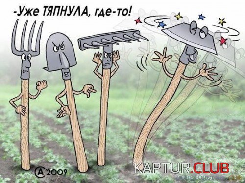 70066314.f.500.500.0.jpg | Рено Каптур Клуб Россия | Форум KAPTUR.SU