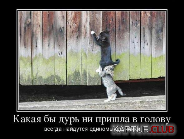 7009f89aa7109422d6c6afe283e_prev.jpg | Рено Каптур Клуб Россия | Форум KAPTUR.SU