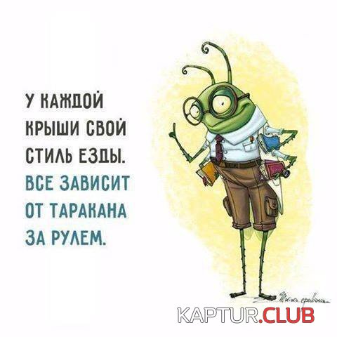 70262326.f.500.500.0.jpg | Рено Каптур Клуб Россия | Форум KAPTUR.SU