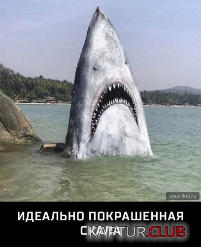 70321836.f.500.500.0.jpg | Рено Каптур Клуб Россия | Форум KAPTUR.SU