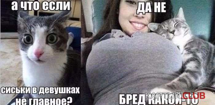 70a29164755ae4a89ace57e0ff9.jpg | Рено Каптур Клуб Россия | Форум KAPTUR.SU
