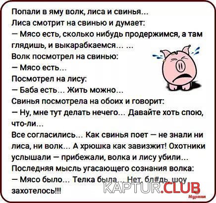 70dcb205-cd65-4775-a6a4-6e8c2bc47910.jpg | Рено Каптур Клуб Россия | Форум KAPTUR.SU