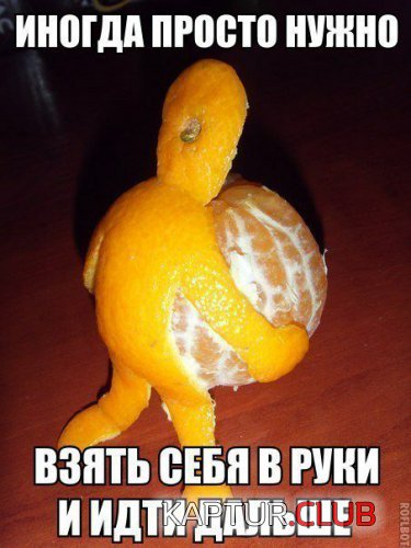 71006378.f.500.500.0.jpg | Рено Каптур Клуб Россия | Форум KAPTUR.SU