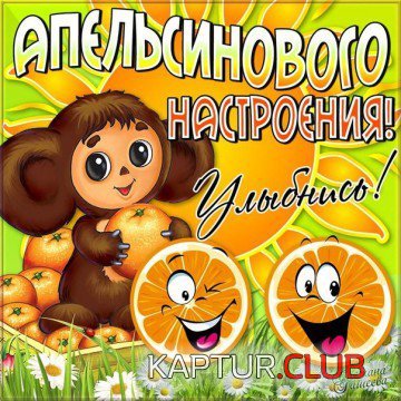 71039912.f.500.500.0.jpg | Рено Каптур Клуб Россия | Форум KAPTUR.SU