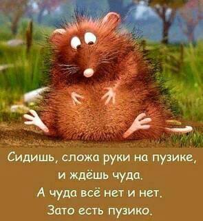 71080383.f.500.500.0.jpg | Рено Каптур Клуб Россия | Форум KAPTUR.SU