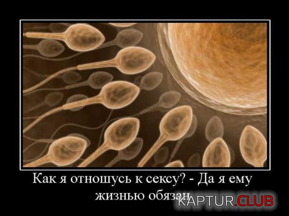 710c582b6f5af67ccc5b8c6b28c_prev.jpg | Рено Каптур Клуб Россия | Форум KAPTUR.SU