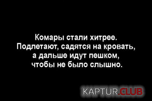71756194.f.500.500.0.jpg | Рено Каптур Клуб Россия | Форум KAPTUR.SU