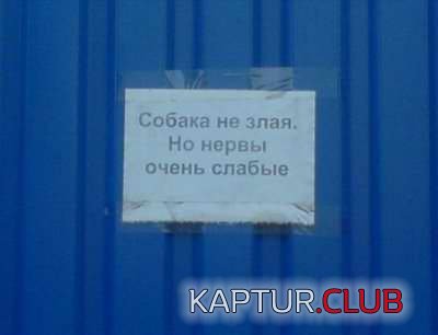 7190d521ca6cf35a8364edb665daeb57_full.jpg | Рено Каптур Клуб Россия | Форум KAPTUR.SU