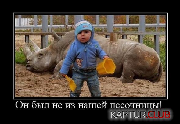 71a4e4d7145821a6393c900b659_prev.jpg | Рено Каптур Клуб Россия | Форум KAPTUR.SU