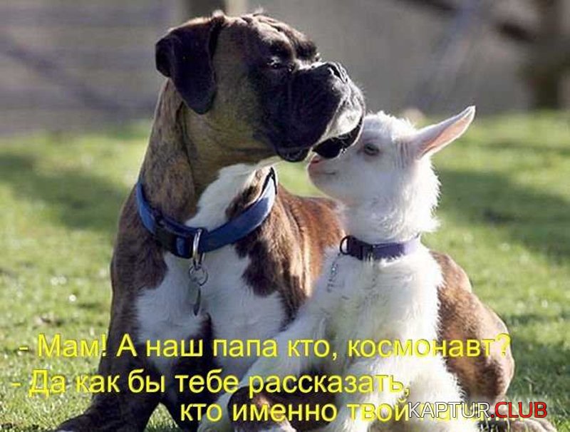 71c7ce2f040d363e8c7b658cb47.jpg | Рено Каптур Клуб Россия | Форум KAPTUR.SU