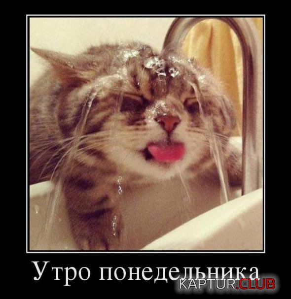 71d4a1ff2e89de41b3a9f35899c_prev.jpg | Рено Каптур Клуб Россия | Форум KAPTUR.SU