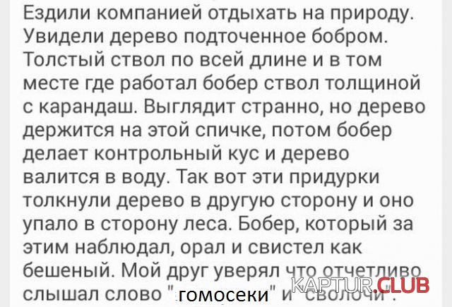 71e3a6ebd2c8e1e477a59a58fea.jpg | Рено Каптур Клуб Россия | Форум KAPTUR.SU