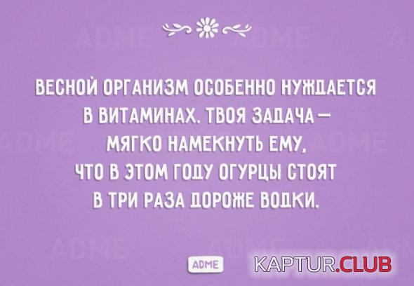 721bf9811a83fe8aedda15304e3_prev.jpg | Рено Каптур Клуб Россия | Форум KAPTUR.SU