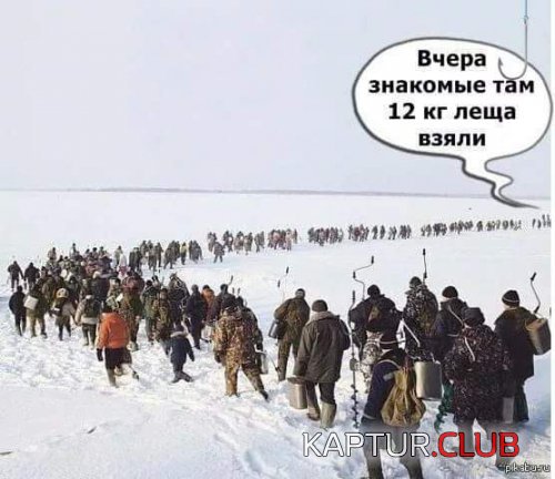 72968737.f.500.500.0.jpg | Рено Каптур Клуб Россия | Форум KAPTUR.SU