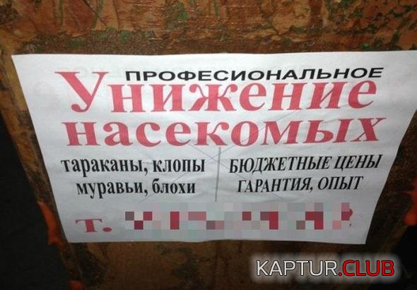 7327440ecac3c2313551efa537b_prev.jpg | Рено Каптур Клуб Россия | Форум KAPTUR.SU