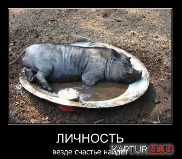 733edfd3711b8577d199fb87d9a_prev.jpg | Рено Каптур Клуб Россия | Форум KAPTUR.SU