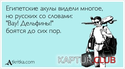 736eab3b6405361c2d246fa33cc.jpg | Рено Каптур Клуб Россия | Форум KAPTUR.SU
