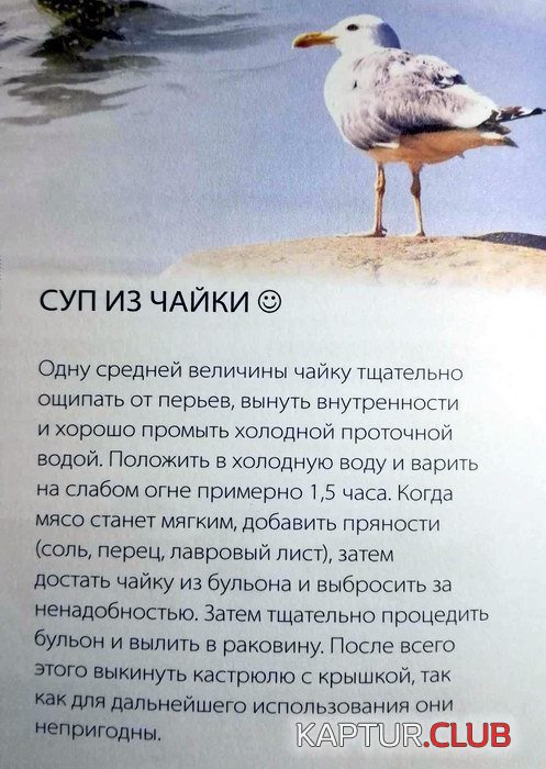 73899913bd1a9c30d685219f29c.jpg | Рено Каптур Клуб Россия | Форум KAPTUR.SU