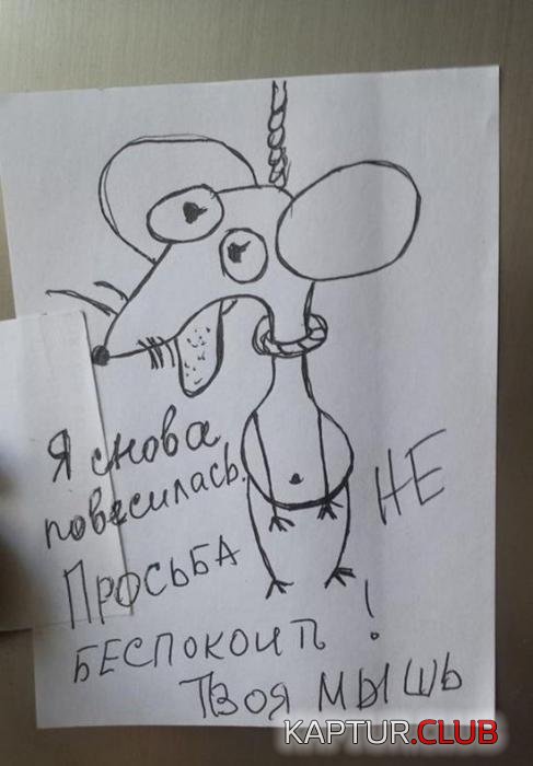 73b56fbc089afa3fe75f7870fbe_prev.jpg | Рено Каптур Клуб Россия | Форум KAPTUR.SU