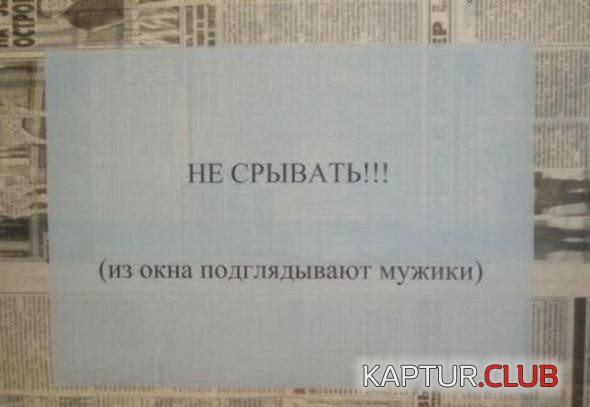73c341c4e0fde6cdbff154539ca.jpg | Рено Каптур Клуб Россия | Форум KAPTUR.SU