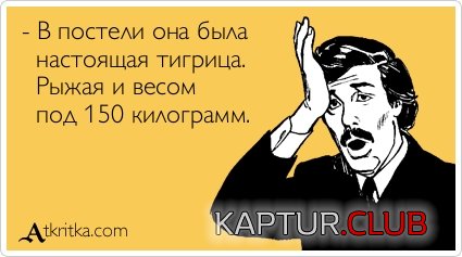 7463052a25c44763979dd7056bd.jpg | Рено Каптур Клуб Россия | Форум KAPTUR.SU