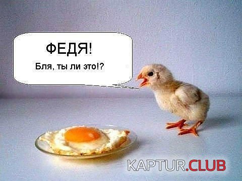 748678678.jpg | Рено Каптур Клуб Россия | Форум KAPTUR.SU