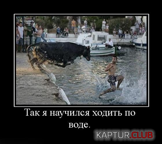74abac8264381595033ecbc3f9f.jpg | Рено Каптур Клуб Россия | Форум KAPTUR.SU