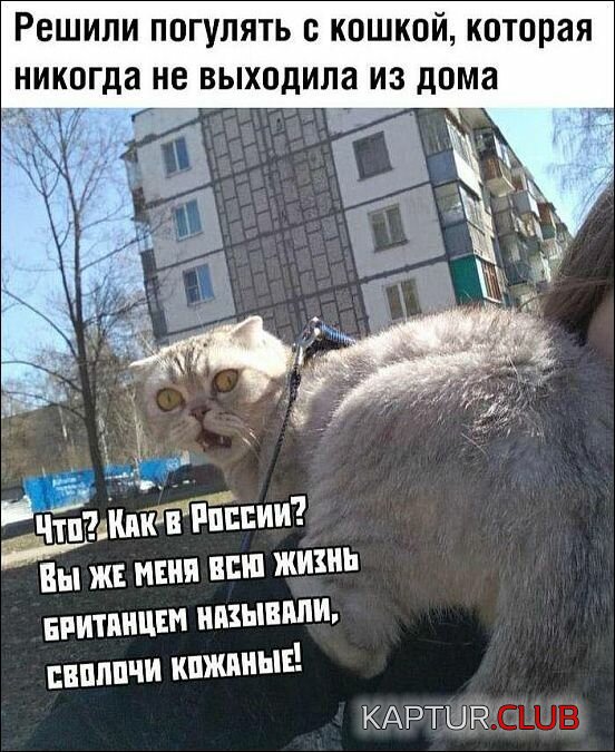 74b0d6e18ad6c24c155af4c346a.jpg | Рено Каптур Клуб Россия | Форум KAPTUR.SU