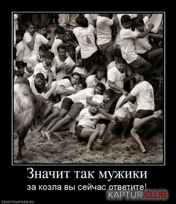 74d609b25e093c850fb39e036d1_prev.jpg | Рено Каптур Клуб Россия | Форум KAPTUR.SU