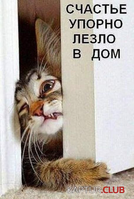 7527e176f1f1832d87a4473ee6f.jpg | Рено Каптур Клуб Россия | Форум KAPTUR.SU