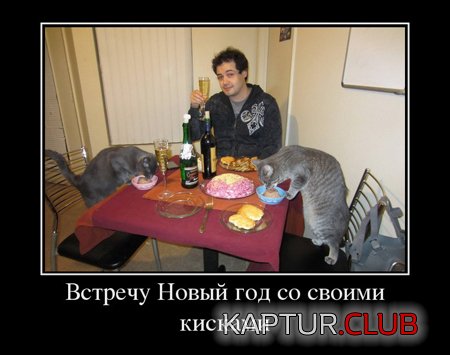 7570bb26bb4cc23f88d65af0669.jpg | Рено Каптур Клуб Россия | Форум KAPTUR.SU