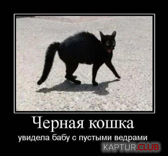 75a1251df93a9dea520255a3888_prev.jpg | Рено Каптур Клуб Россия | Форум KAPTUR.SU