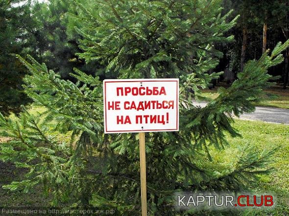 7678ed61b5945d11c38ac436411_prev.jpg | Рено Каптур Клуб Россия | Форум KAPTUR.SU