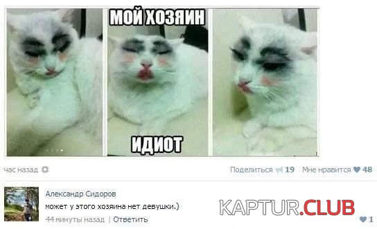 770fee5087b1d1bb4d95ea9fa00.jpg | Рено Каптур Клуб Россия | Форум KAPTUR.SU