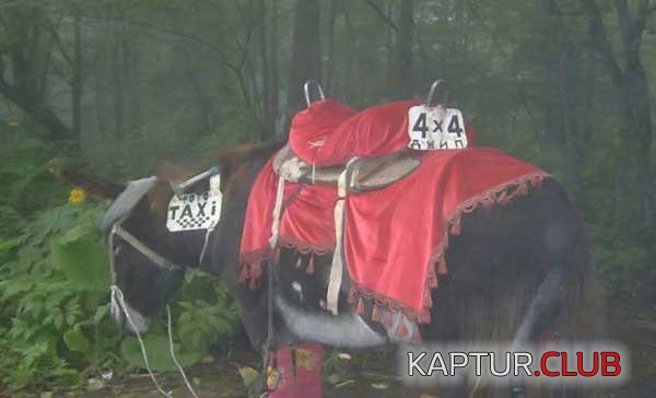 774cae2dd651e5cf4cfdee9b7518e680_full.jpg | Рено Каптур Клуб Россия | Форум KAPTUR.SU