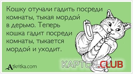 777070288088b0c8f78951f4f93.jpg | Рено Каптур Клуб Россия | Форум KAPTUR.SU