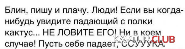 777bc604a84b2c99a4c188a7611_prev.jpg | Рено Каптур Клуб Россия | Форум KAPTUR.SU